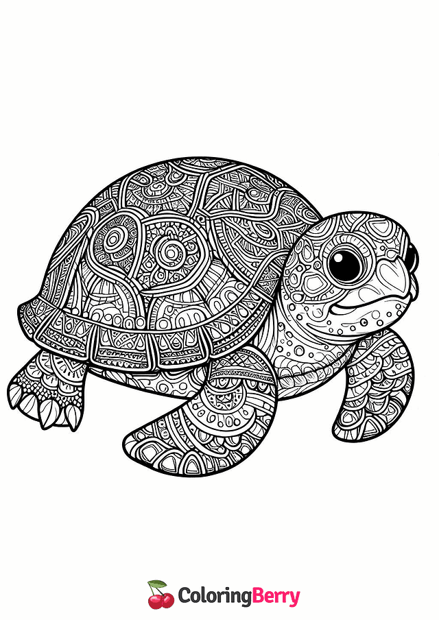 Detailed Turtle Coloring Page