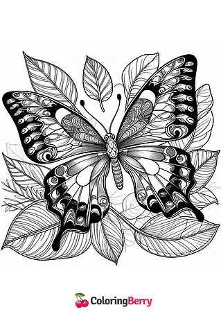 Difficult Butterfly Coloring Page