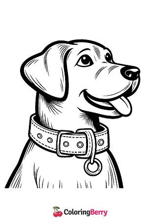 Dog Collar Coloring Page