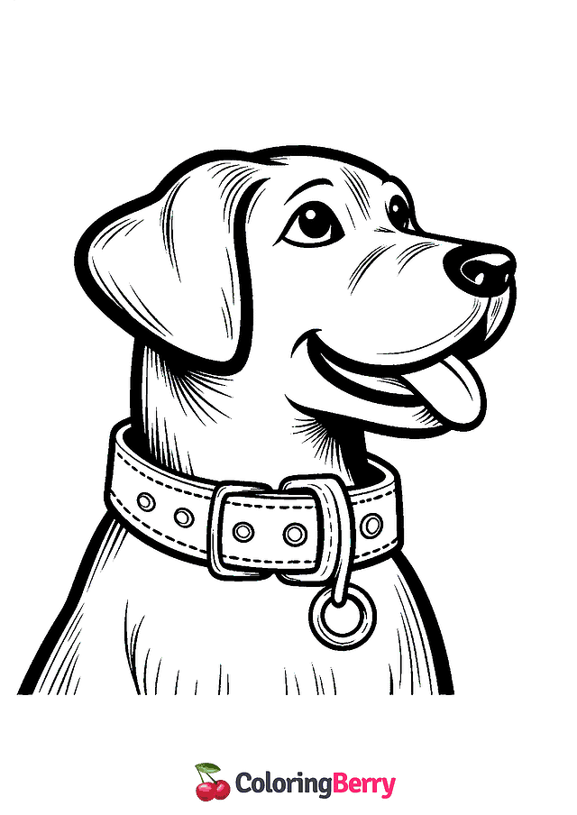 Dog Collar Coloring Page
