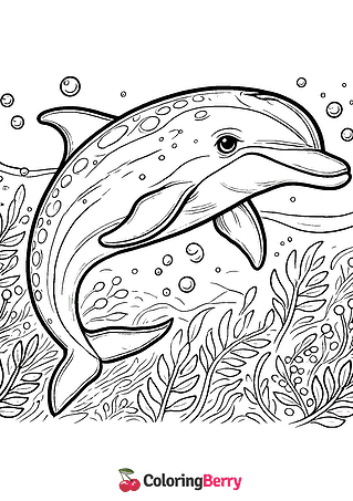 Dolphin Tale Coloring Page