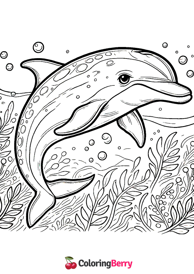 Dolphin Tale Coloring Page