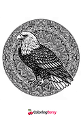 Eagle Mandala