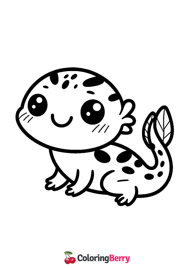 Easy Salamander Coloring Page