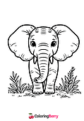 Elephant