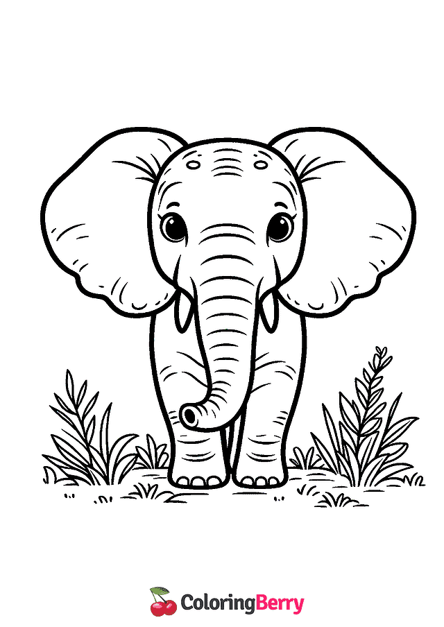 Elephant Coloring Page