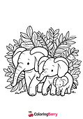 Elephant Family