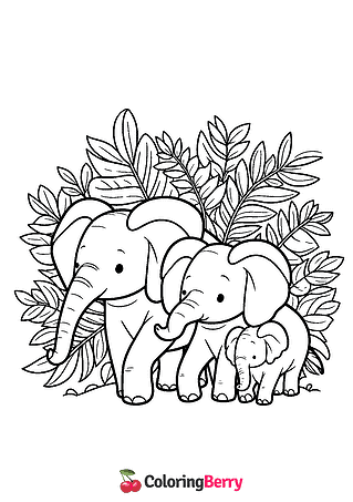 Elephant Family