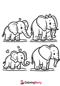 Elephants