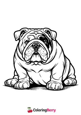English Bulldog Coloring Page