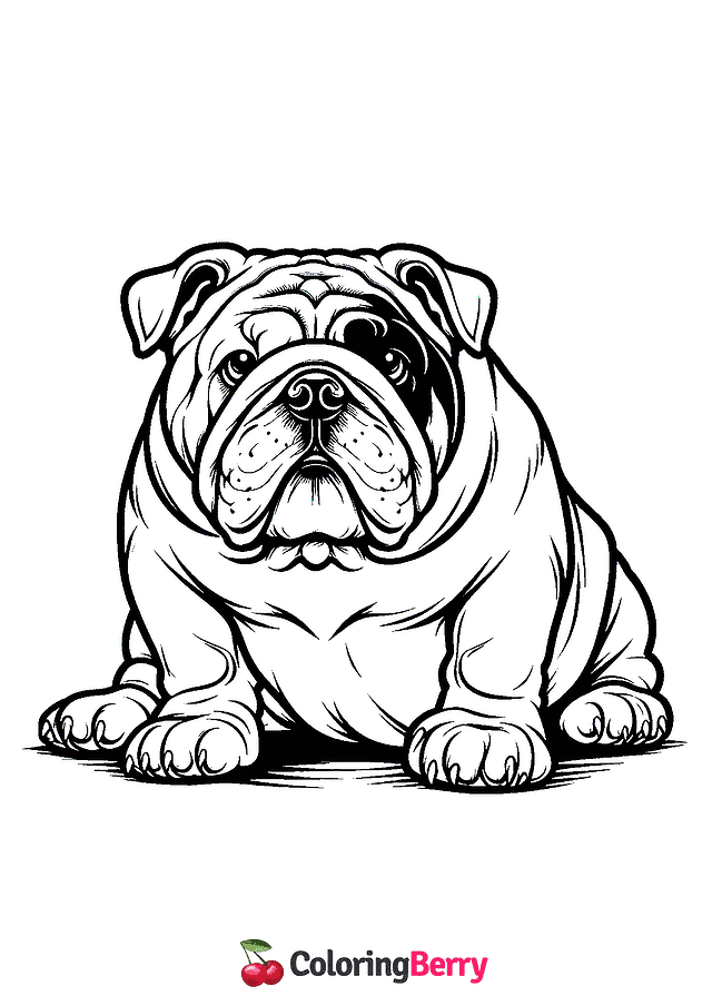 English Bulldog Coloring Page