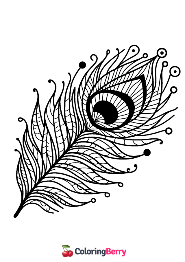 Feather Peacock Coloring Page