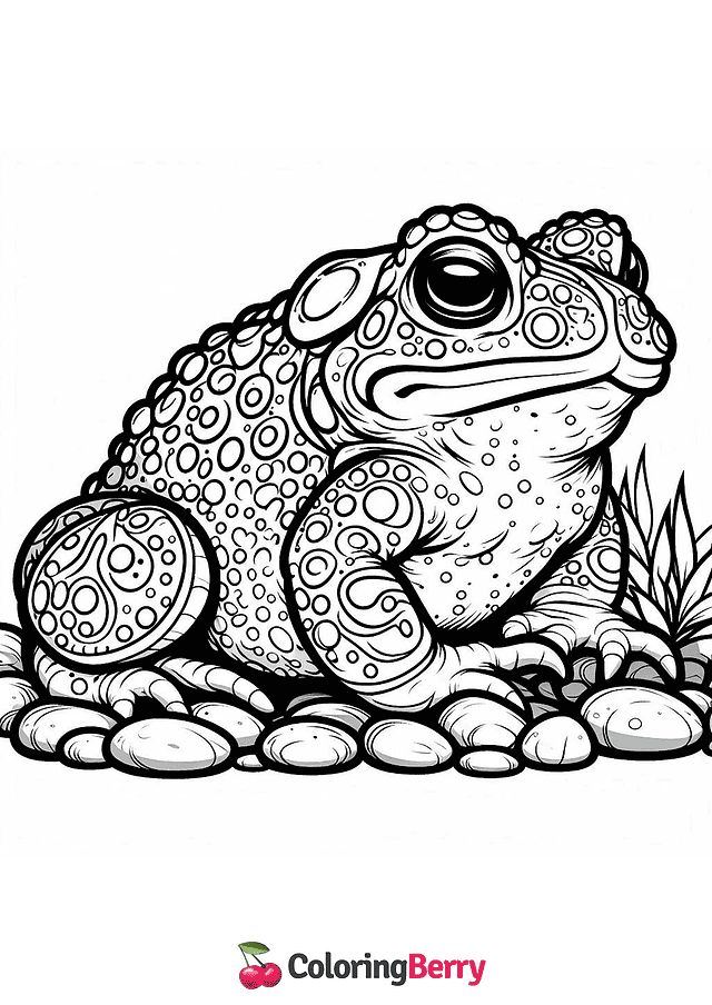 Fire Belly Toad Coloring Page