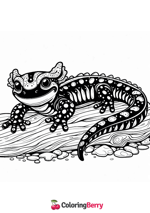 Fire Salamander Coloring Page