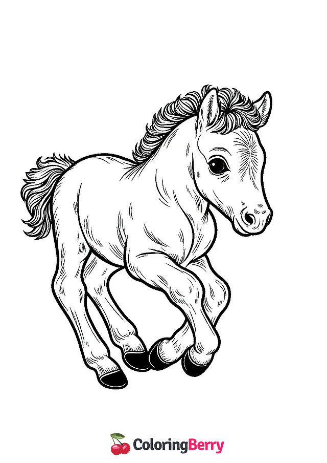 Foal Horse Coloring Page