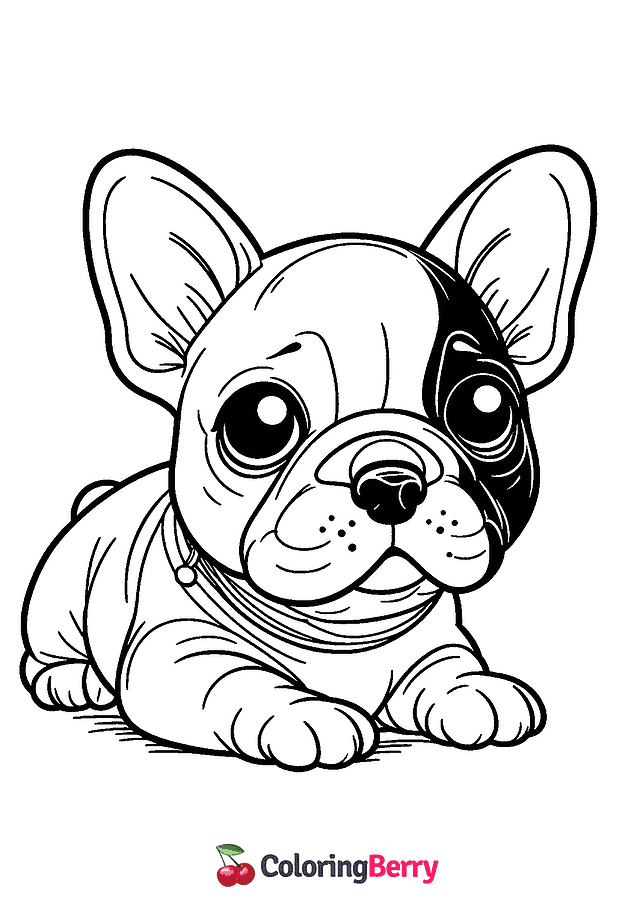 French Bulldog Coloring Page