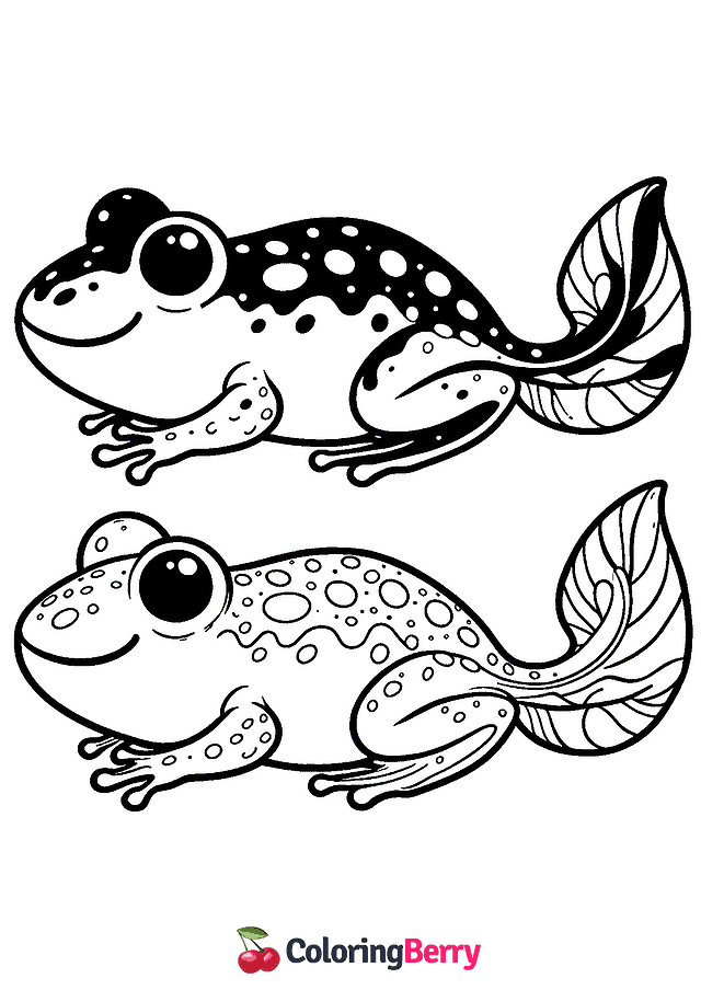 Frog Tadpole Coloring Page