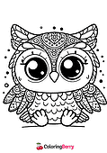 Funny Owl