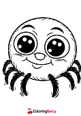 Funny Spider