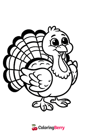 Funny Turkey