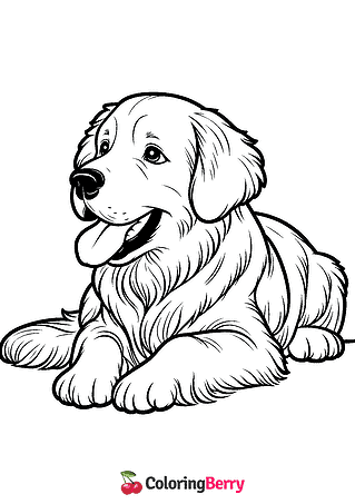 Golden Retriever Coloring Page