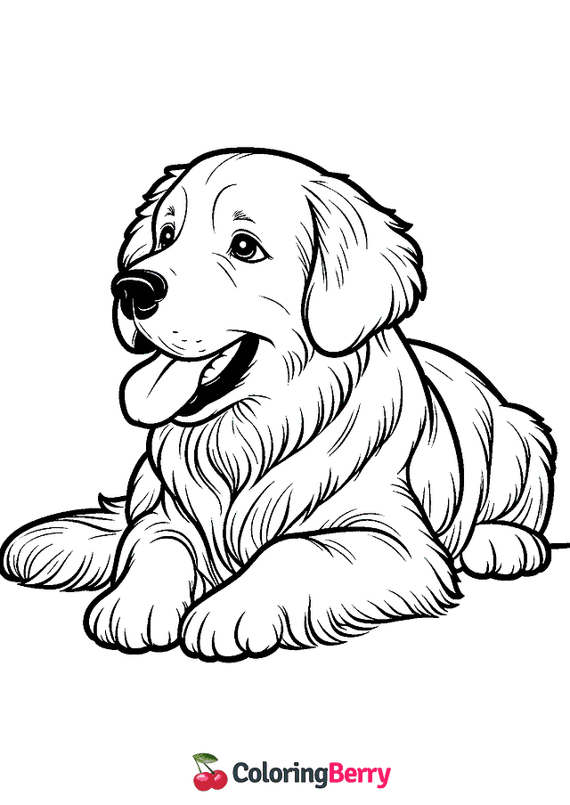 Golden Retriever Coloring Page