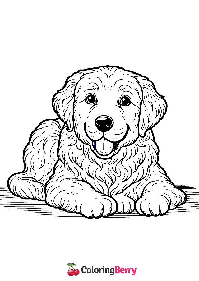 Golden Retriever Dog Coloring Page