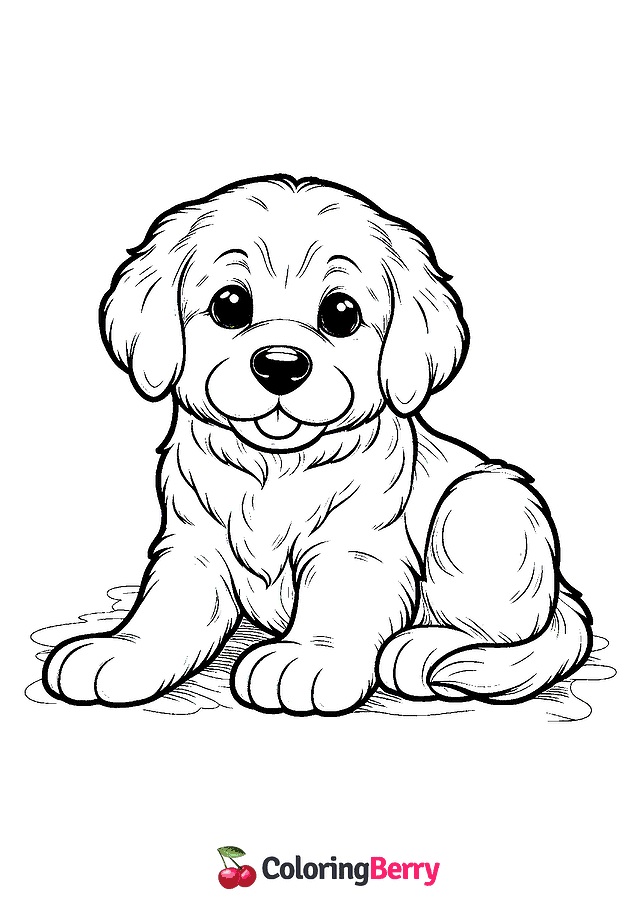 Golden Retriever Puppy Coloring Page