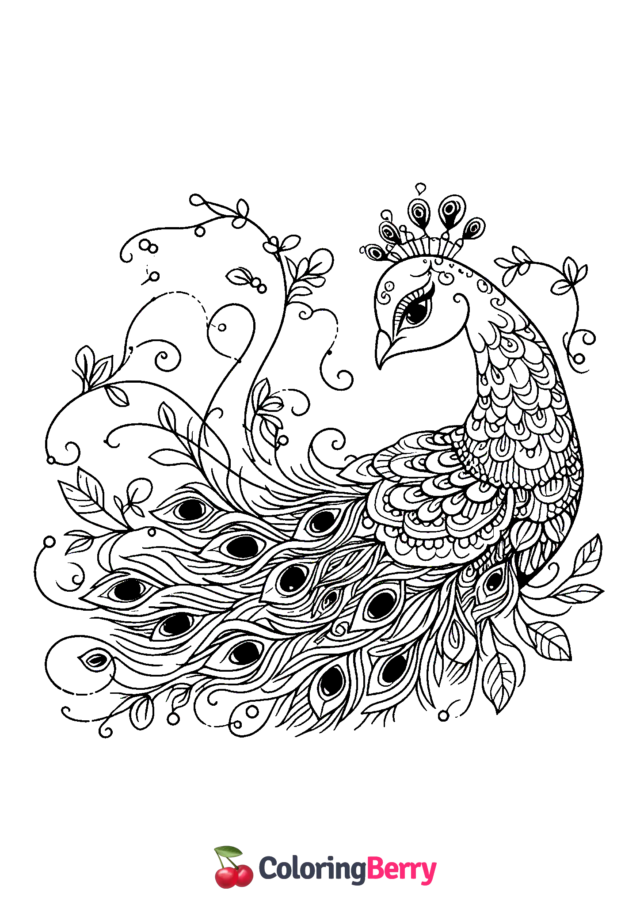 Graceful Peacock Coloring Page