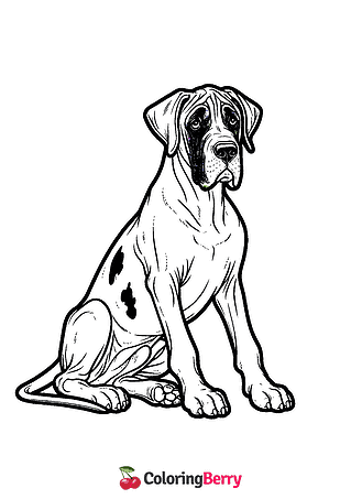 Great Dane Coloring Page