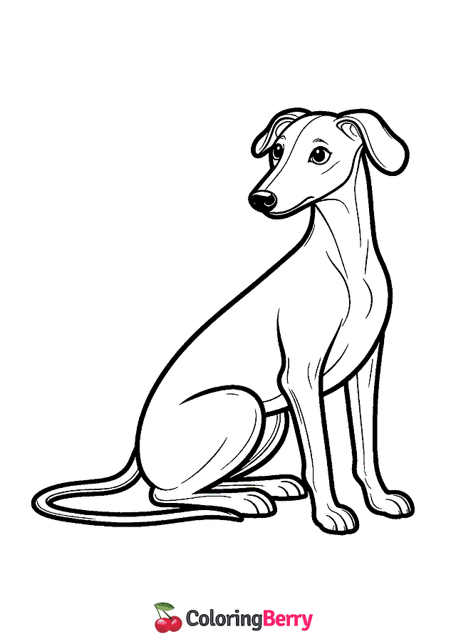 Greyhound Dog Coloring Page