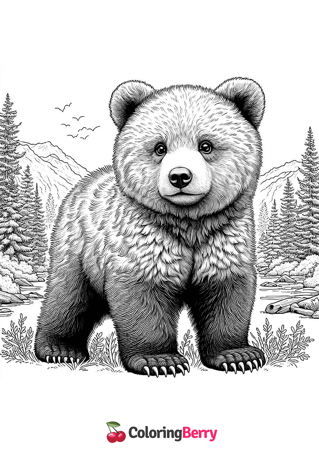 Grizzly Bear Cub Coloring Page