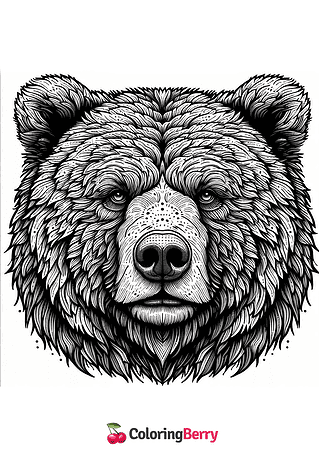 Grizzly Bear Face