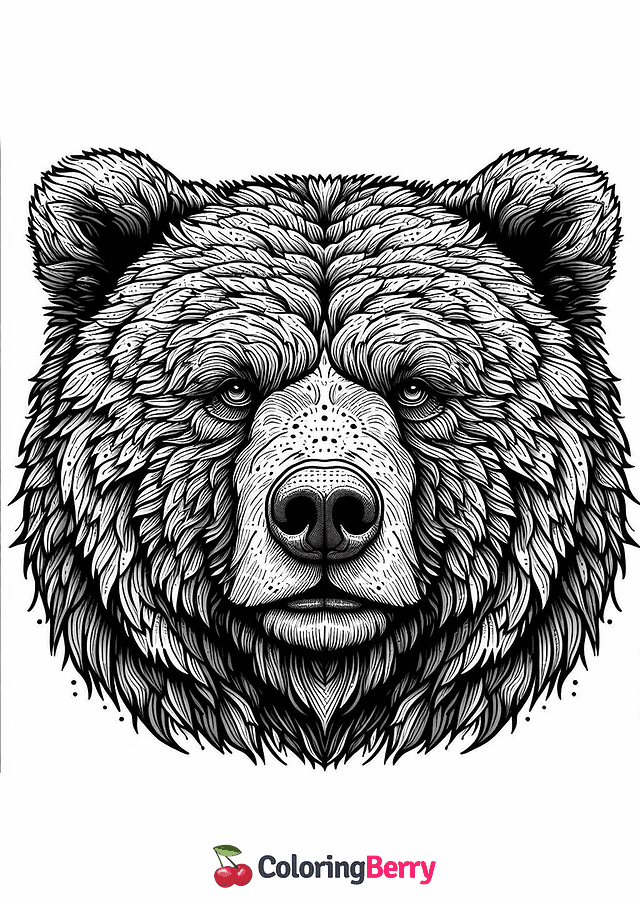 Grizzly Bear Face Coloring Page