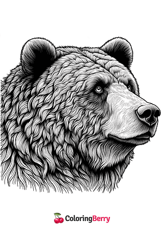 Grizzly Bear Head