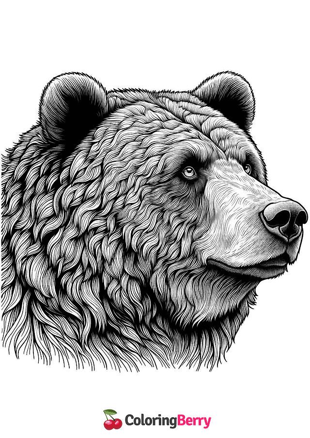 Grizzly Bear Head Coloring Page