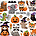 Halloween Animals