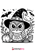 Halloween Owl