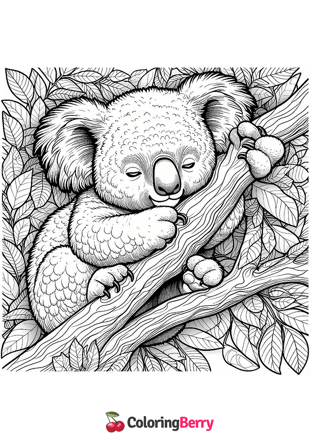 Hard Koala Coloring Page