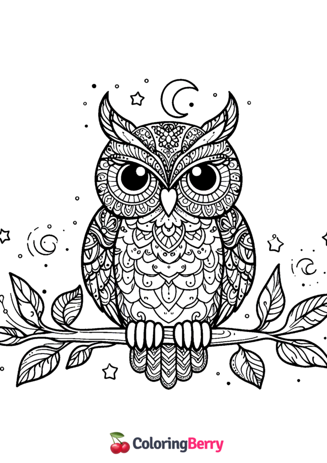 Hard Owl Coloring Page