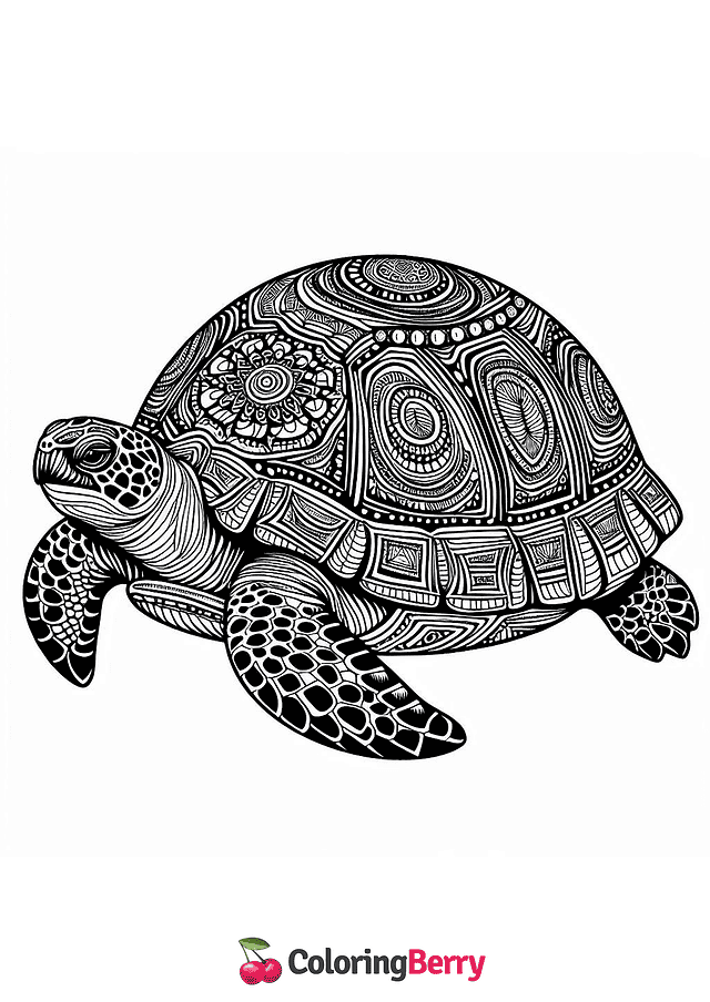 Hard Turtle Coloring Page