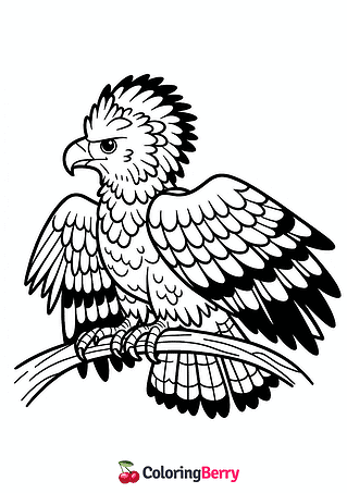 Harpy Eagle Coloring Page