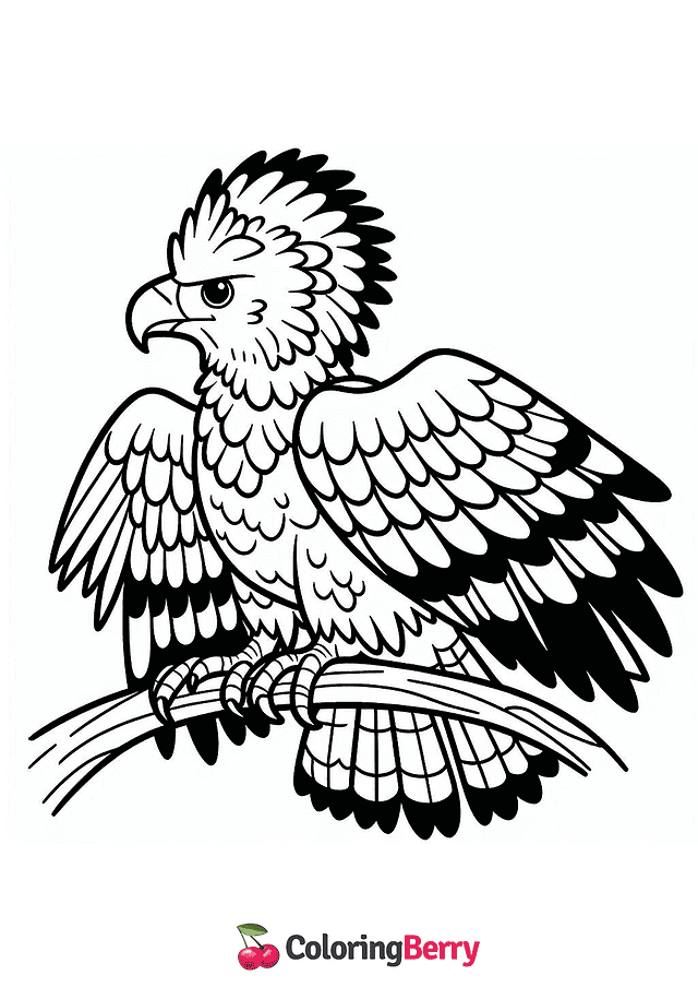 Harpy Eagle Coloring Page