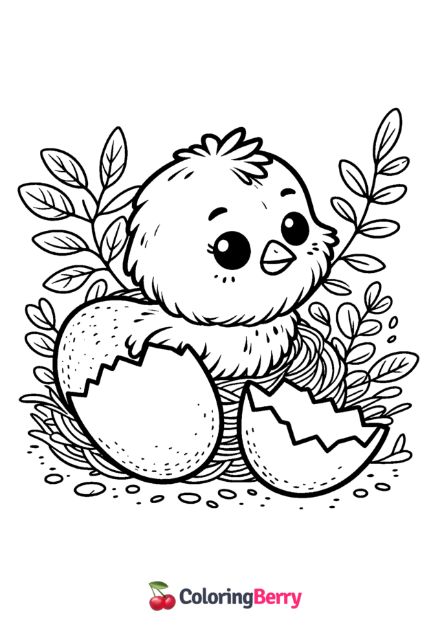 Hatching Chick Coloring Page