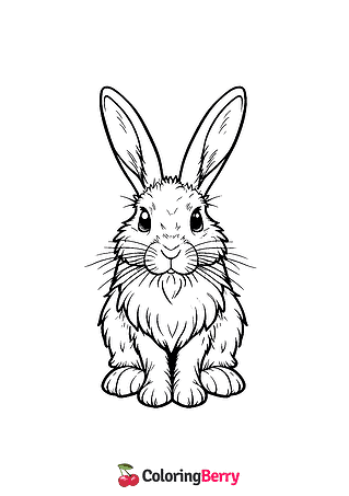 Hispid Hare Coloring Page