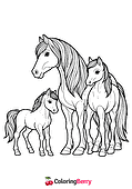 Horse Family