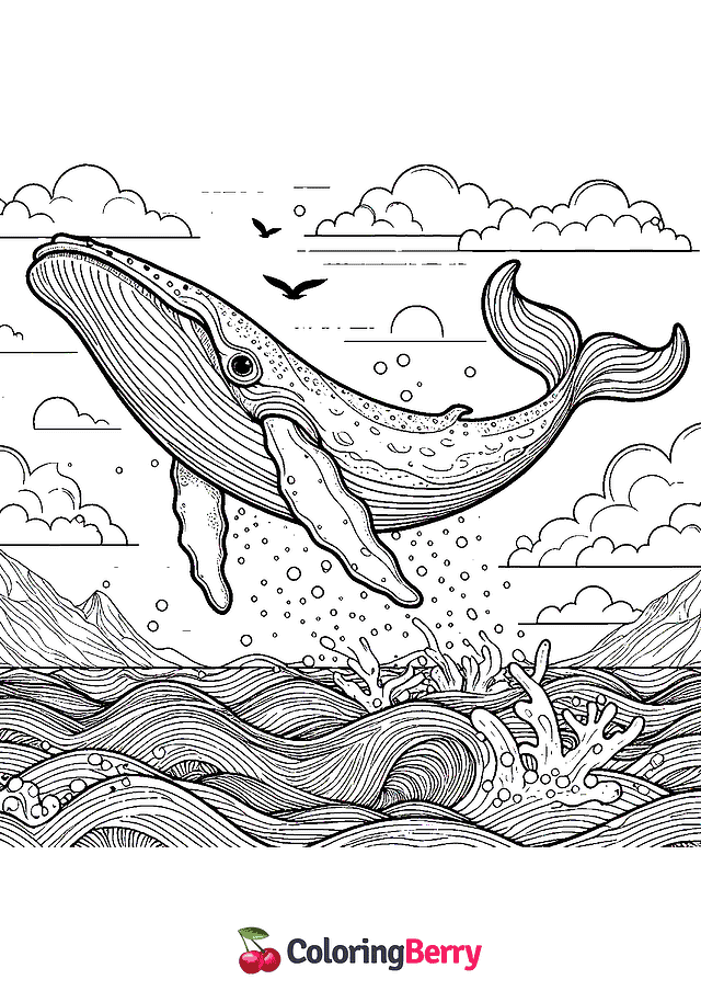 Humpback Whale Coloring Page