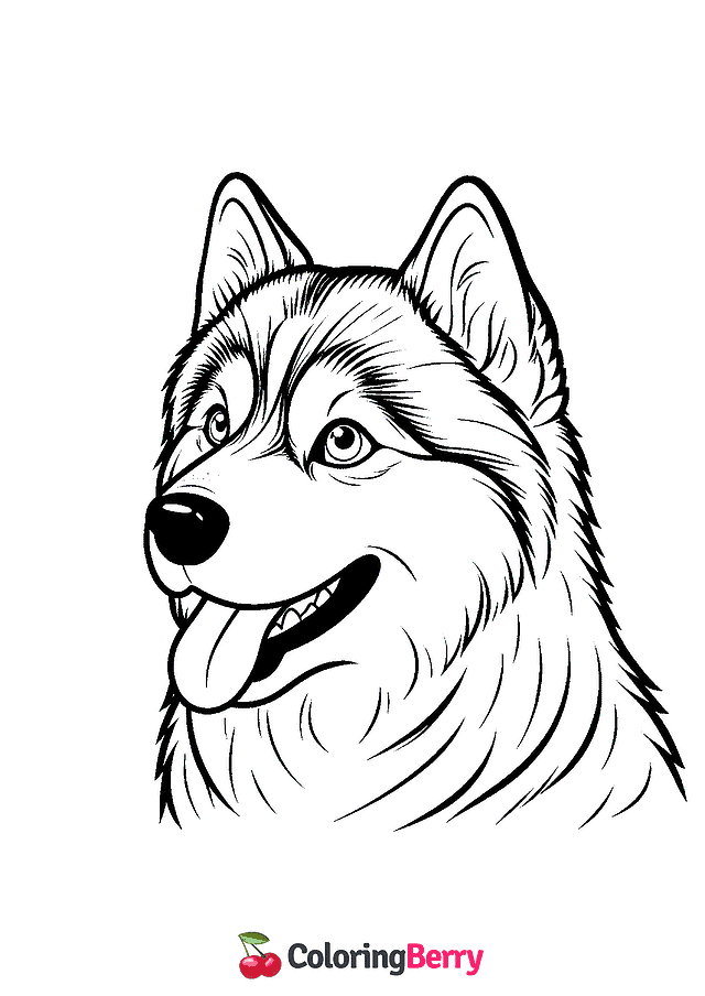 Husky Coloring Page