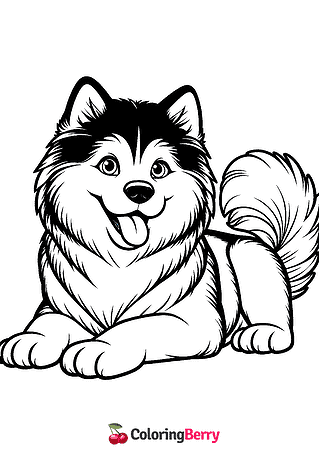 Husky Dog Coloring Page