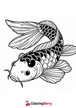 Japanese Koi Fish